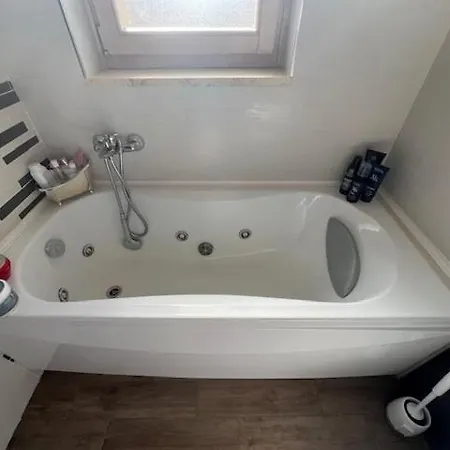 Urban Jungle * 布林迪西