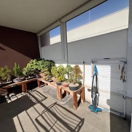 Urban Jungle برينديسي